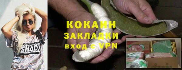СК Алексин