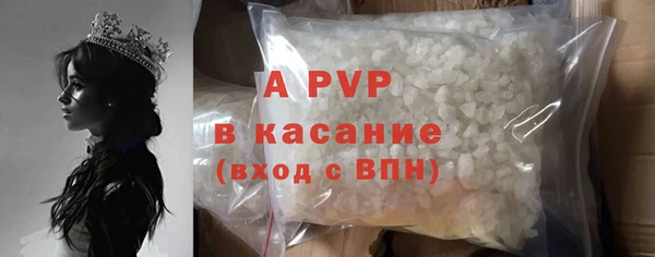 СК Алексин
