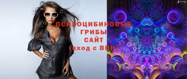 СК Алексин