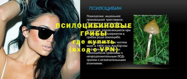 винт Арсеньев