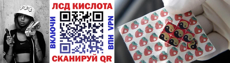 купить наркоту  Петропавловск-Камчатский  Марки N-bome 1,8мг 