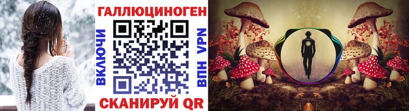 Псилоцибиновые грибы Cubensis Петропавловск-Камчатский